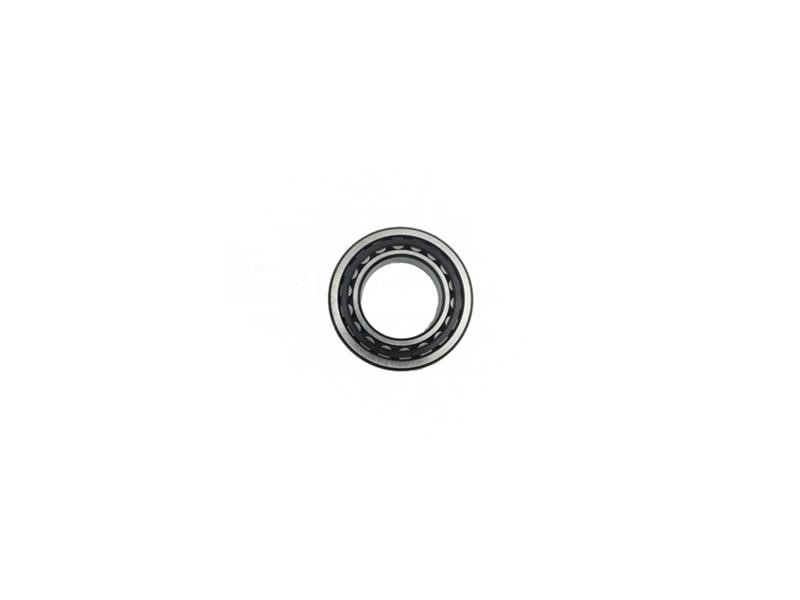 Cuscinetto a rulli ceg mod.nu1007