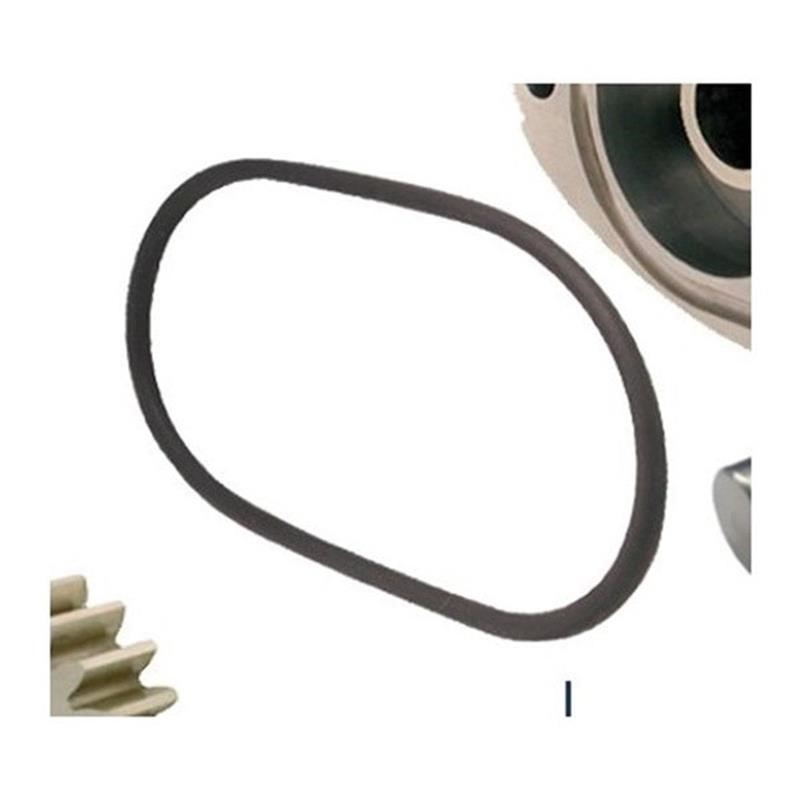 Ricambio compatibile gelatiere carpigiani - o-ring corpo pompa - rif. 841000178