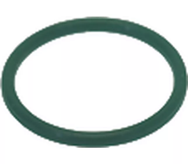 Guarnizione ORM 0100-10 verde