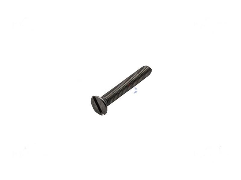 Vite inox 3X20 fissaggio Placchetta plastica per affettatrice Vite inox 3X20 fissaggio Placchetta plastica per affettatrice