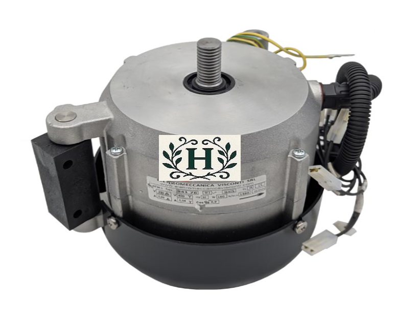 Motore 230 400V Trifase a cinghia Kolossal 350 per affettatrice