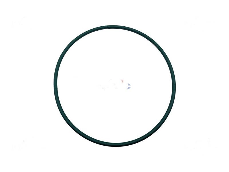 Cinghia lunga 8X880 per Stendipizza IGF mod. L40P Cinghia lunga 8X880 per Stendipizza IGF mod. L40P